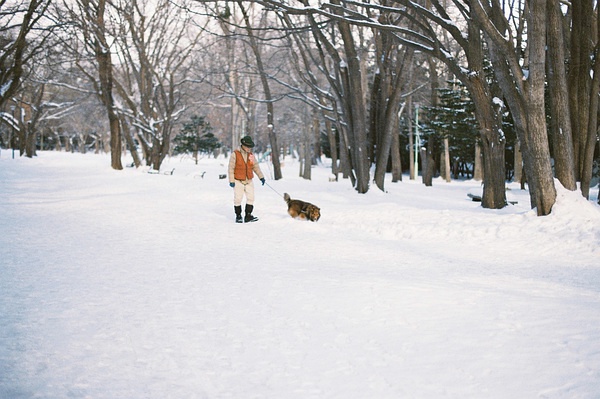 关于北海道的画面，特别适合冬天——北海道（一）|小樽和札幌